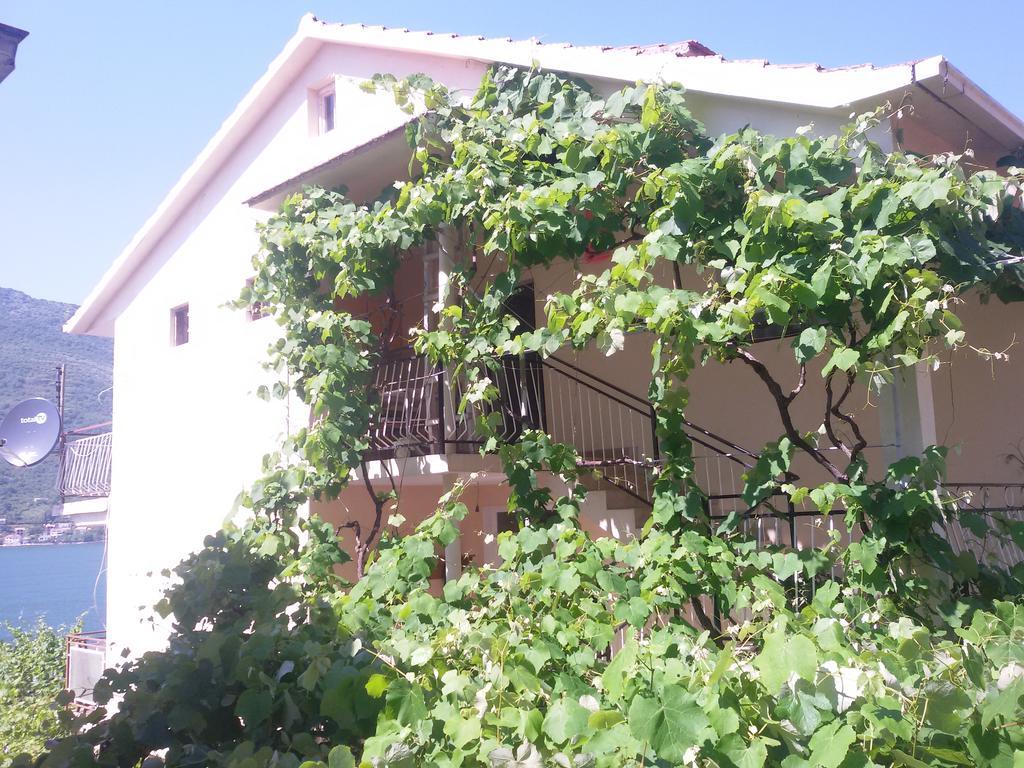 Apartmani Ivana Tivat Luaran gambar