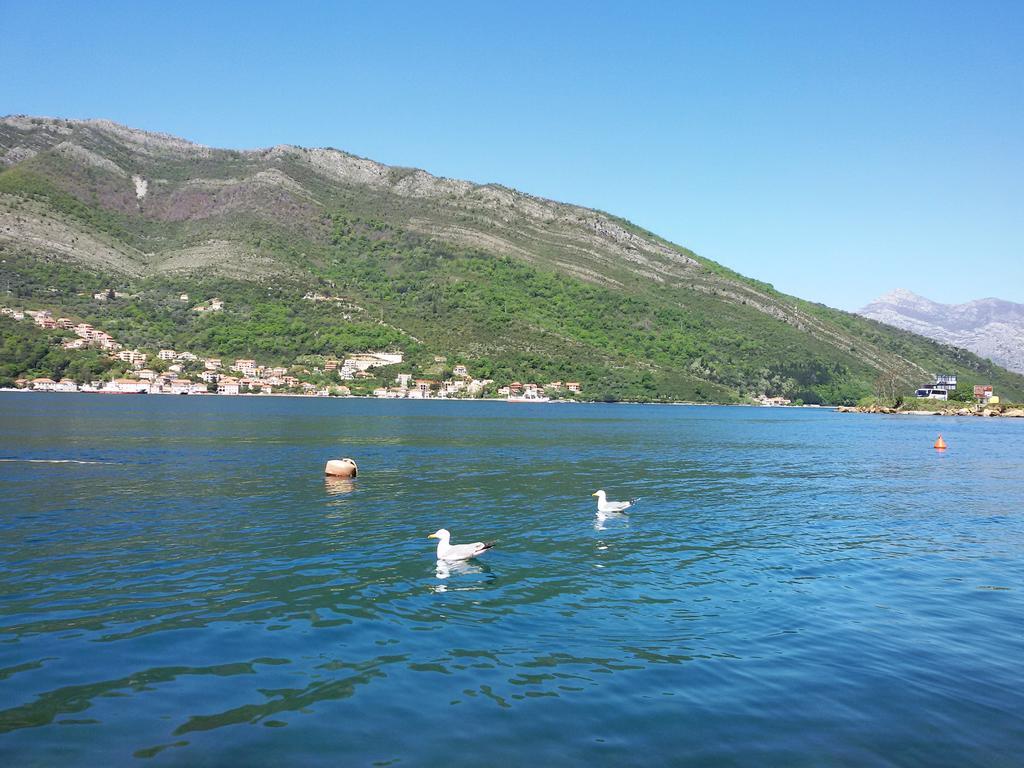 Apartmani Ivana Tivat Luaran gambar